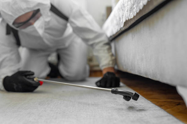 Professional Bed Bug Control technician working in Banks, OR