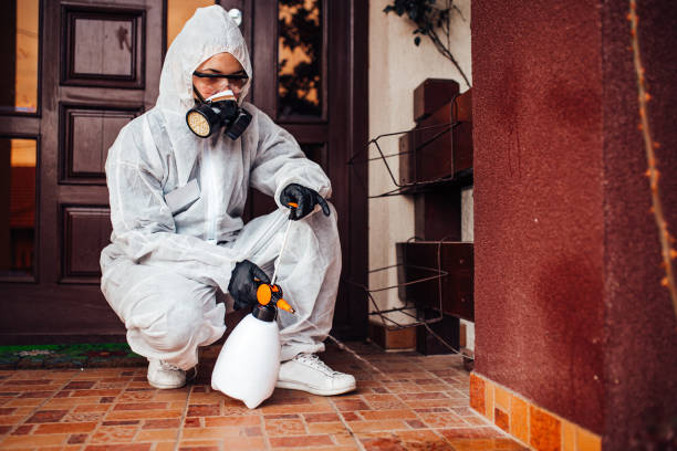 Reliable Bed Bug Control contractor in Banks, OR by Nex Pest Control